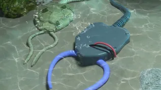 Photo from press release