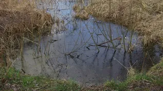 Fot. S.Czachorowski. Źródło: Wikipedia CC BY-SA 4.0