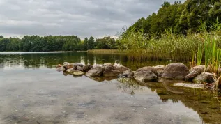 Brzeg jeziora Hańcza, najgłębsze jezioro w Polsce; Adobe Stock