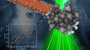 Elektrodepozycja filmu nanocząstek PtNi przy użyciu techniki in-situ w komórce przepływowej w transmisyjnym mikroskopie elektronowym podczas cyklicznej woltametrii. Wiązka elektronów (tu oznaczona na zielono) oświetla elektrodę (oznaczoną na pomarańczowo), zanurzoną w roztworze soli platyny i niklu, umożliwiając obrazowanie wzrostu nanocząstek PtNi (kolor szary) na elektrodzie. Grubość filmu wzrasta z każdym cyklem i po czwartym cyklu zaobserwowano wzrost rozgałęzionych i porowatych struktur. Projekt okładki/ilustracji: Weronika Wojtowicz, tło z wodą pobrane z https://pl.freepik.com