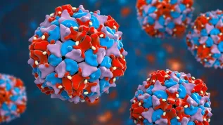 Wirus polio, źródło: Adobe Stock