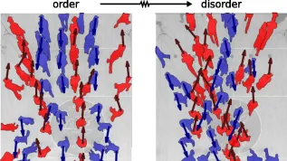 Źródło: K. Bacik et al. PNAS 