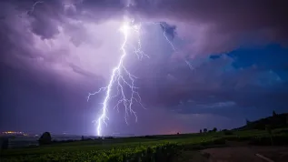 Fot. Adobe Stock