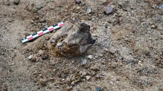 Źródło: Wydział Archeologii UW.