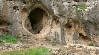 Fot. R Yeshurun/Wikipedia/  CC BY-SA 3.0