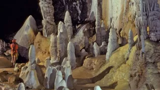 Stalagmity kolumnowe w Jaskini Lechuguilla, Nowy Meksyk (USA) – źródło: Dave Bunnell/Under Earth Images (licencja CC BY-SA 2.5)