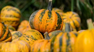 24.09.2024 PAP/Jakub Kaczmarczyk