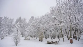 26.11.2025. Śnieg w Poznaniu. PAP/Jakub Kaczmarczyk