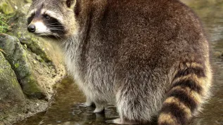 EPA/FOCKE STRANGMANN 