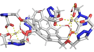 Kompleks związek-kation. Źródło: ACS