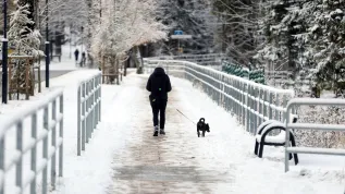 19.11.2024 PAP/Grzegorz Momot 