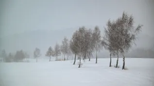 11.01.2026 PAP/Darek Delmanowicz