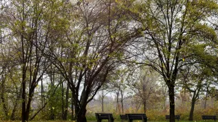 Katowice (ag/dw) PAP/Andrzej Grygiel