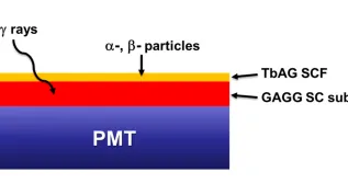 Fot. materiały prasowe