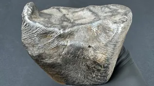 Nowy polski meteoryt. Na powierzchni widoczne są zastygnięte strużki materii. Fot. materiały prasowe