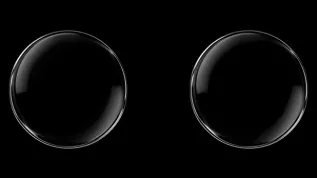 Adobe Stock