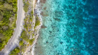 Fot. Adobe Stock