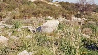 Kamienny cippus na wzgórzu (1997). Fot. Eleni Procopiou/Departament Starożytności Cypru