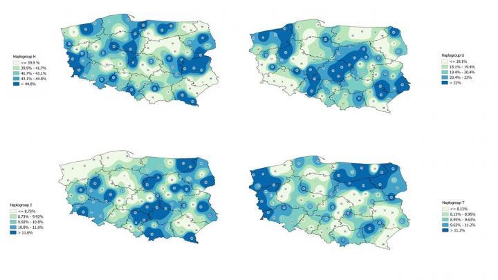 Distribution of haplogroups in Poland. Source: Biobank Laboratory, University of Lodz