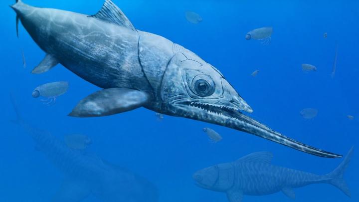 Polscy naukowcy odkryli niezwykłą rybę sprzed 365 milionów lat