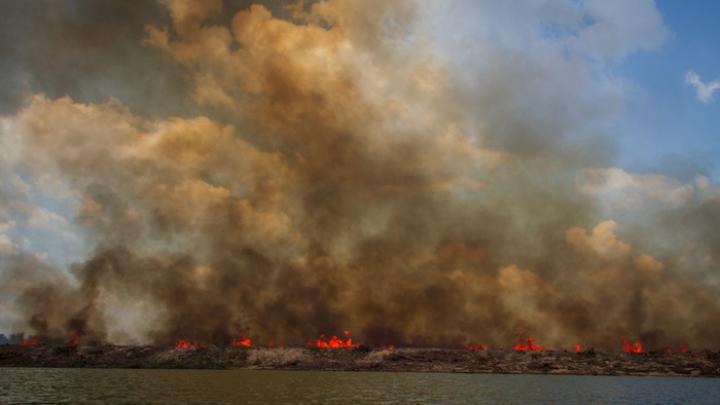 Brazylia/ W 2024 r. obszar spalonych i wyciętych lasów Amazonii zwiększył się o blisko 500 proc.