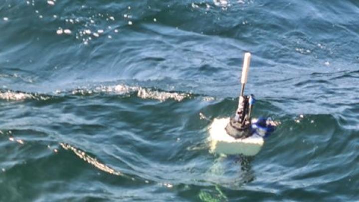 Expert: Argo floats can be confused with torpedoes | Science in Poland