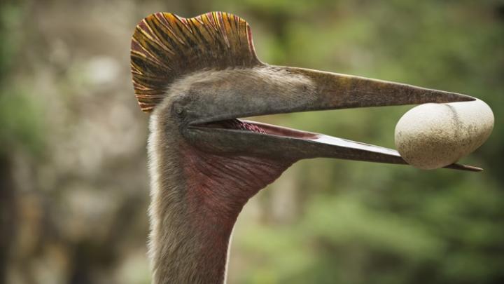 Paleoartystka: prace nad odtworzeniem jednego gatunku dinozaura realizowane są choćby rok