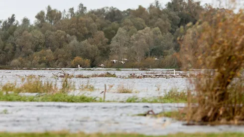 Fot. PAP/ Lech Muszyński 12.10.2017