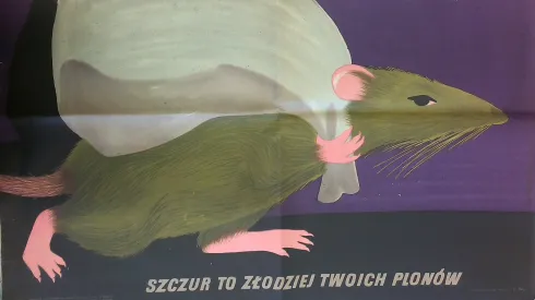 "Szczur to złodziej twoich plonów", Alicja Laurman-Waszewska, 1955, zbiory: Dokumenty Życia Społecznego, Biblioteka Narodowa 