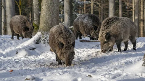 Źródło: Fotolia