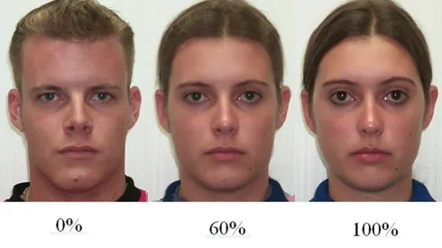 Przykładowe zdjęcia użyte w badaniu. Po lewej – twarz o cechach typowo męskich, po prawej – twarz o cechach kobiecych. © 2016 Owen et al., źródło: PLOS One 
