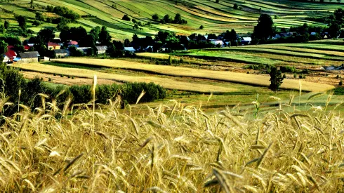 Zwierzyniec 07.2005. Wyżyny Polskie - Roztocze Środkowe w okolicy Zwierzyńca; wieś Sochy - widok z Bukowej Góry. mta PAP/Marek Angiel