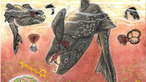 Rysunek ilustrujący epizod wymierania w trakcie zdarzenia Hangenberg (ok. 360 mln lat temu; rys. Karolina Paszcza).