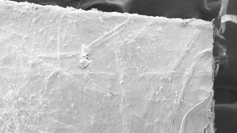 Struktura papierowego kompozytu z celulozy bakteryjnej i włókien sosny, zdjęcie spod mikroskopu skaningowego; fot. Politechnika Łódzka