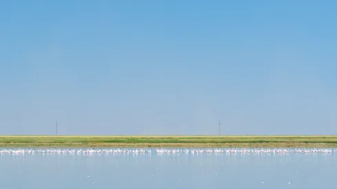 Korgałżyński Rezerwat Przyrody. Fot. Adobe Stock