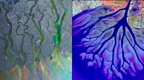 Ujścia rzek do oceanu mogą przyjmować różnorodne formy. (po lewej) Delta Gangesu i Brahmaputry przy ujściu do Oceanu Indyjskiego składa się z kanałów tworzących pętle, które otaczają setki wysepek. (Źródło: @ESA European Space Agency), (po prawej) Ujście rzeki z Wax Lake w Luizjanie (USA) do Oceanu Atlantyckiego ma formę podobną do kształtu drzewa, w którym główny strumień dzieli się na mniejsze odnogi. (Źródło: National Science Foundation, Center for Earth-Surface Dynamics).