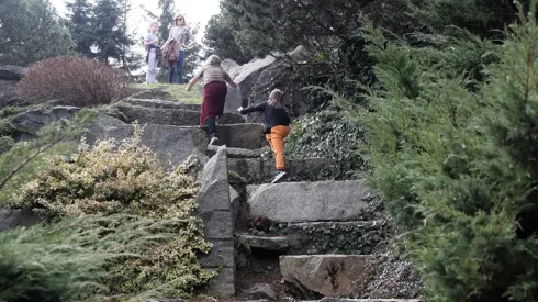 Ogród Botaniczny w Łodzi (mr) PAP/Roman Zawistowski