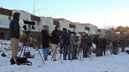 Birdwatcherzy w Polsce obserwujący mewę ochocką Larus schistisagus (niepotwierdzona przez Polską Komisje Awifauny; Gdańsk, grudzień 2016), fot. Marcin Sołowiej 