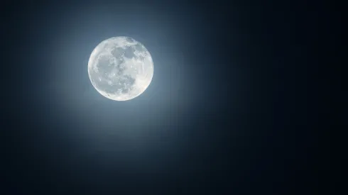 Fot. Adobe Stock