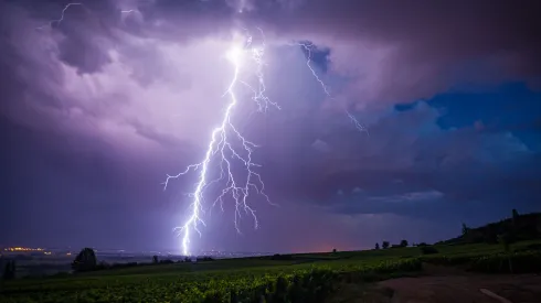 Fot. Adobe Stock
