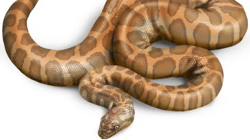 Źródło: archiwum Georgiosa Georgalisa