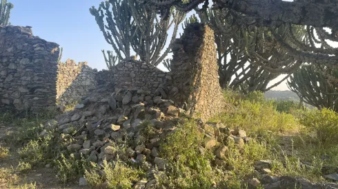 Part of the buildings of the first settlement in Negash. Credit: Z. Augustyniak