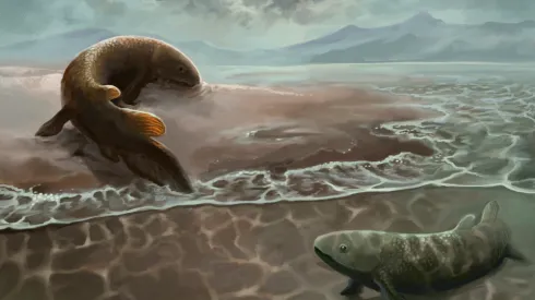 Reconstruction of a seashore 400 million years ago (credit: J. Zalewski)