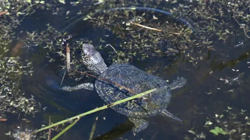 12.09.2025 PAP/Piotr Polak
