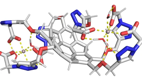 Kompleks związek-kation. Źródło: ACS