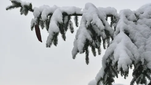 19.11.2022.  PAP/Adam Warżawa