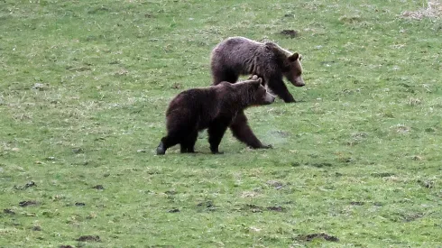 12.04.2025 PAP/Grzegorz Momot