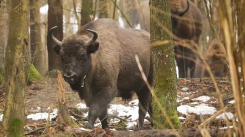 16.02.2023.  PAP/Tomasz Waszczuk