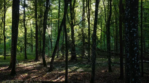 24.09.2025 PAP/Michał Zieliński