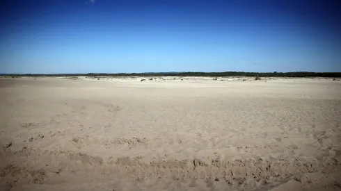 03.06.2022. Pustynia Błędowska. PAP/Łukasz Gągulski